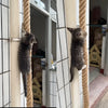 Hand Crafted Cat Climbing Rope