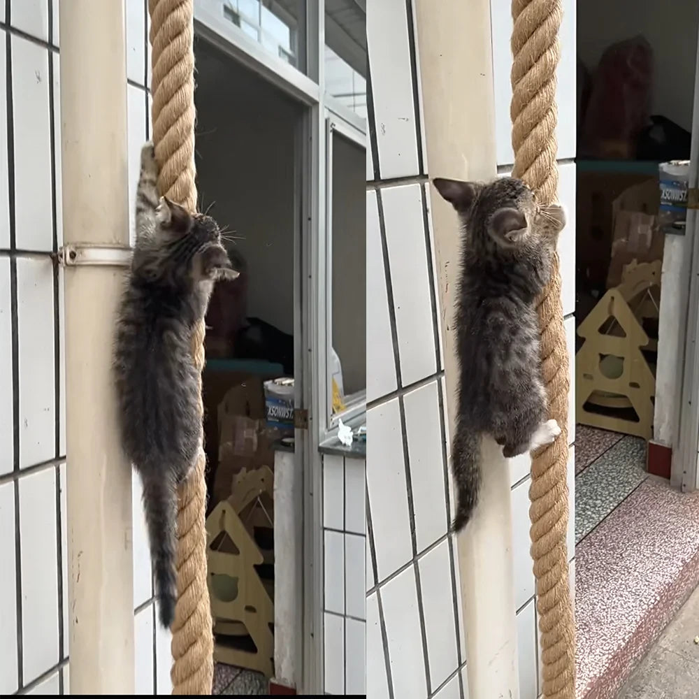 Hand Crafted Cat Climbing Rope