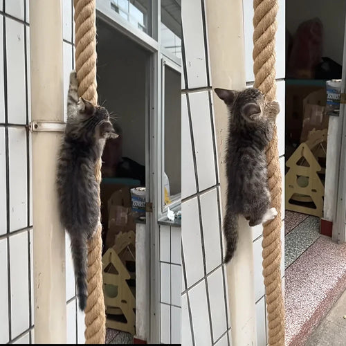 Hand Crafted Cat Climbing Rope